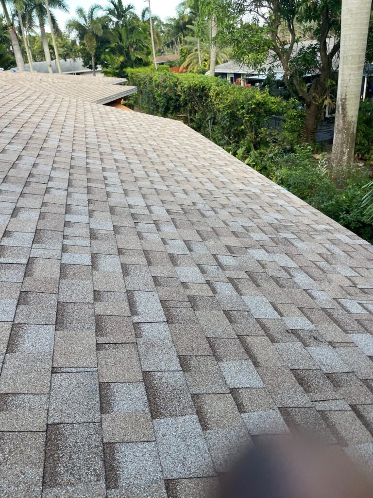shingle 1