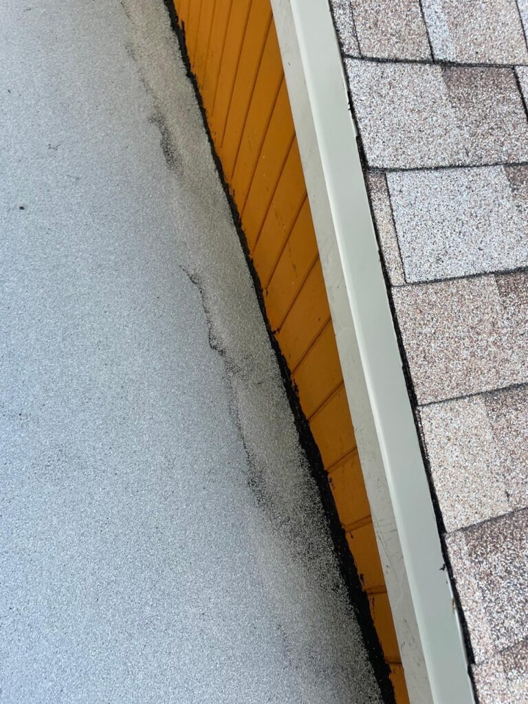 shingle 3
